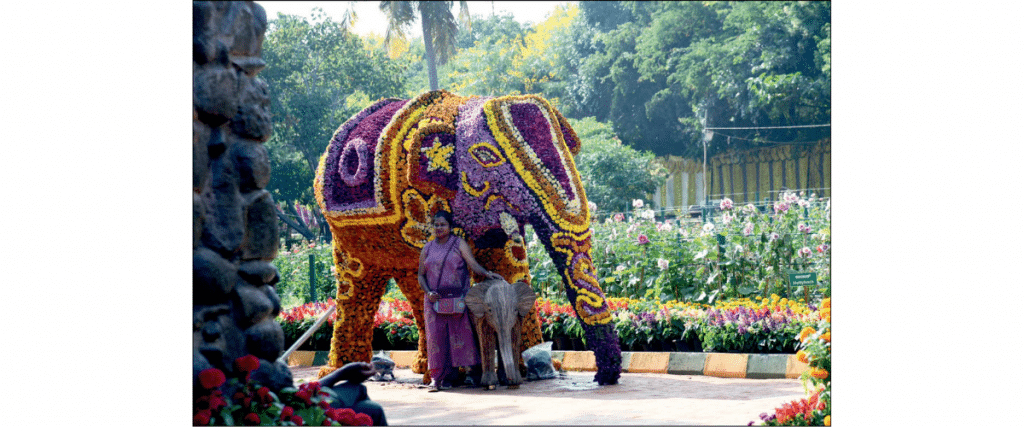 Visitors throng Lingambudhi