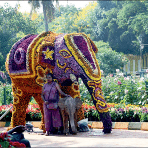 Visitors throng Lingambudhi