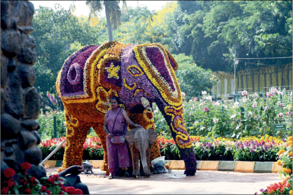 Visitors throng Lingambudhi