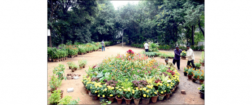 Kukkarahalli Lake Flower Show from tomorrow