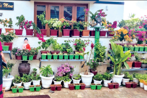 Winners of Dasara Garden Contest