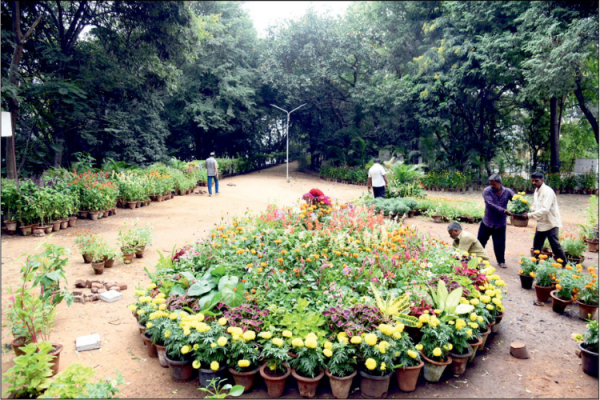 Kukkarahalli Lake Flower Show from tomorrow